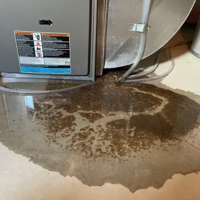 Appliance Leak Cleanup in Minier, IL